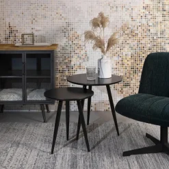 Mangohoutonline Bijzettafel Daven Zwart (set van 2) Jacob Jenzens