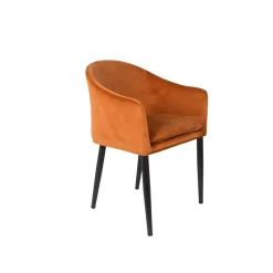 Mangohoutonline Fauteuil Astrid Oranje Jacob Jenzens
