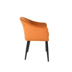Mangohoutonline Fauteuil Astrid Oranje Jacob Jenzens