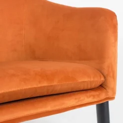 Mangohoutonline Fauteuil Astrid Oranje Jacob Jenzens