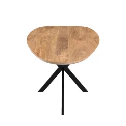 Mangohoutonline Mangohouten Eettafel Organisch Laura 260x120 cm Mahom